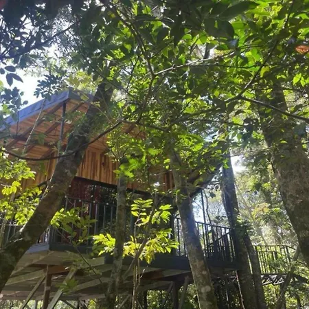 Roca Verde - Monteverde Cloud Forest Lodging Exterior photo