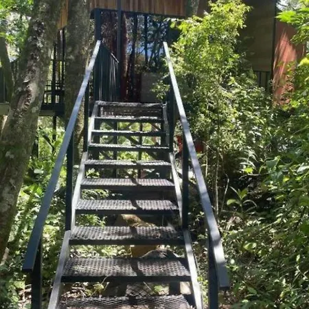 Roca Verde - Monteverde Cloud Forest Lodging Exterior photo