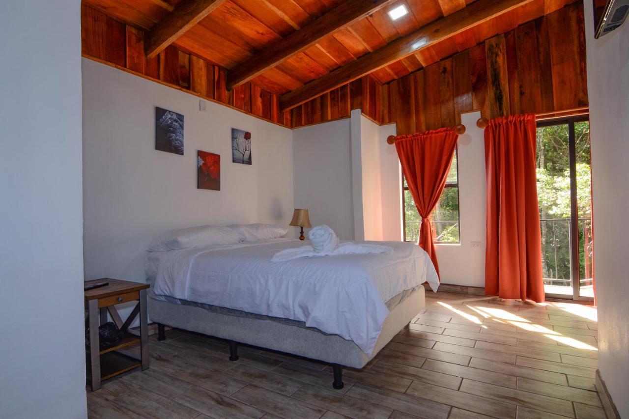 Roca - Cloud Forest