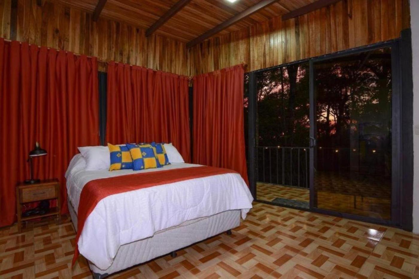 Roca - Cloud Forest *