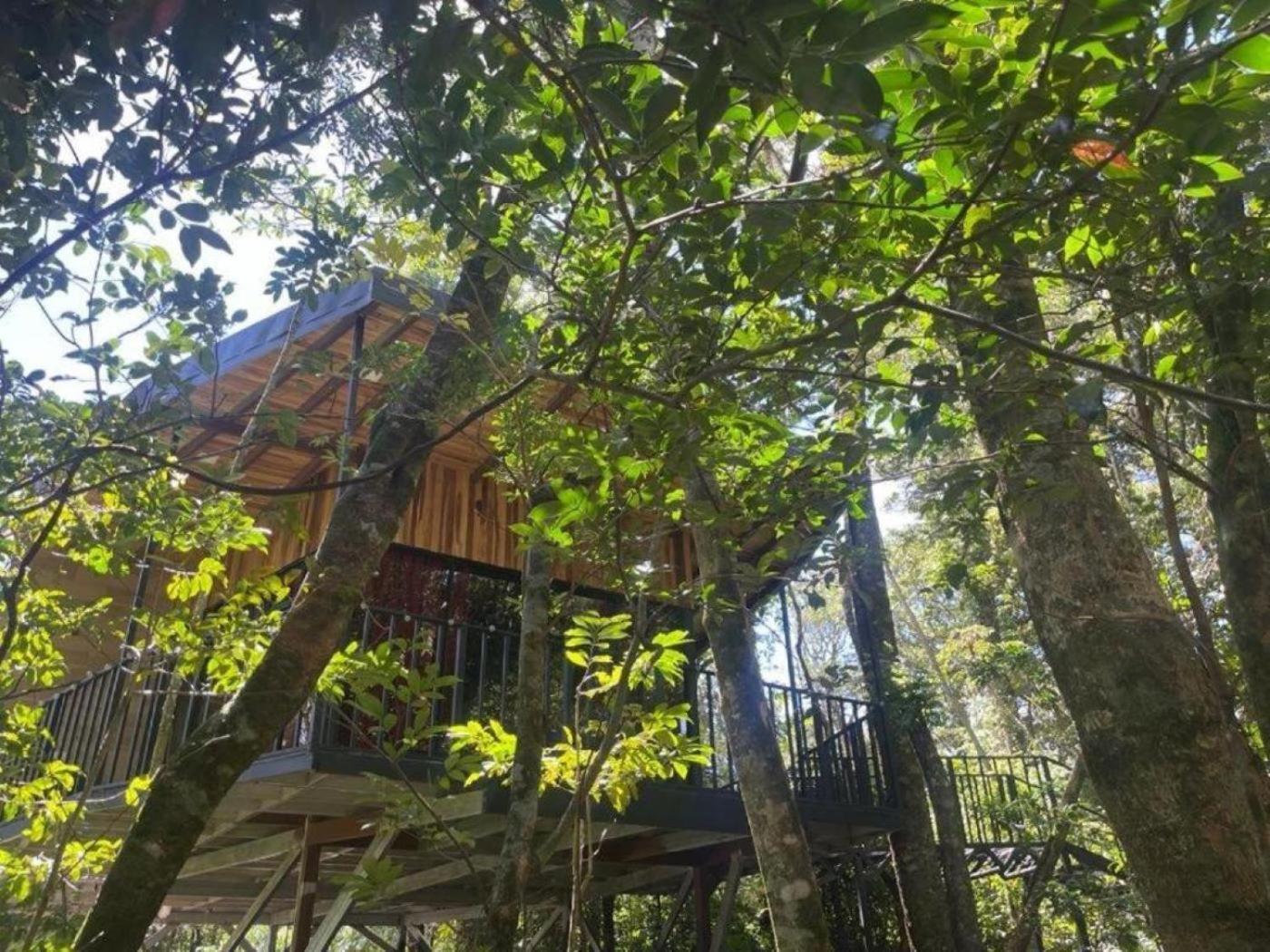 Holiday home Roca - Cloud Forest