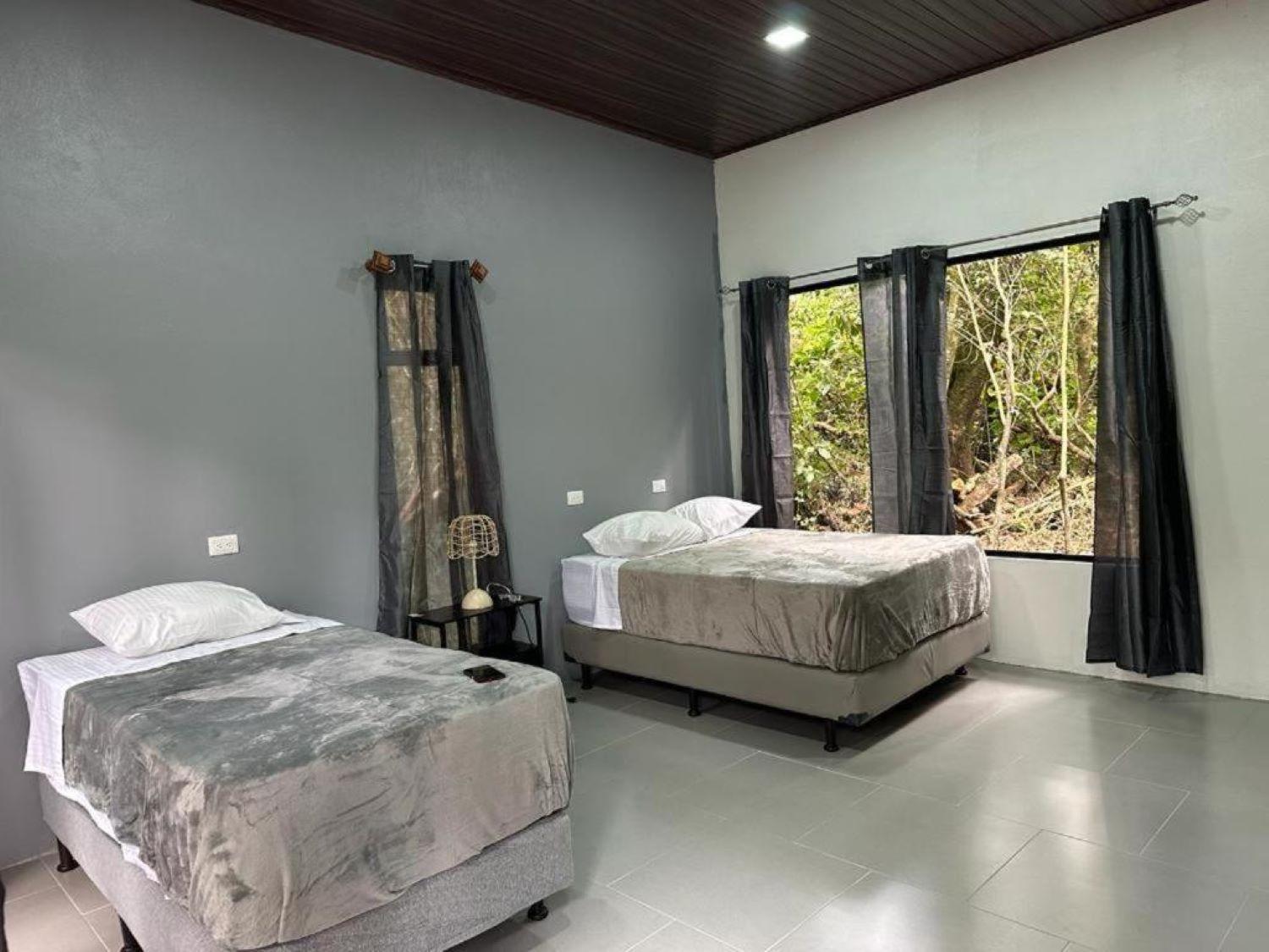 Roca - Cloud Forest