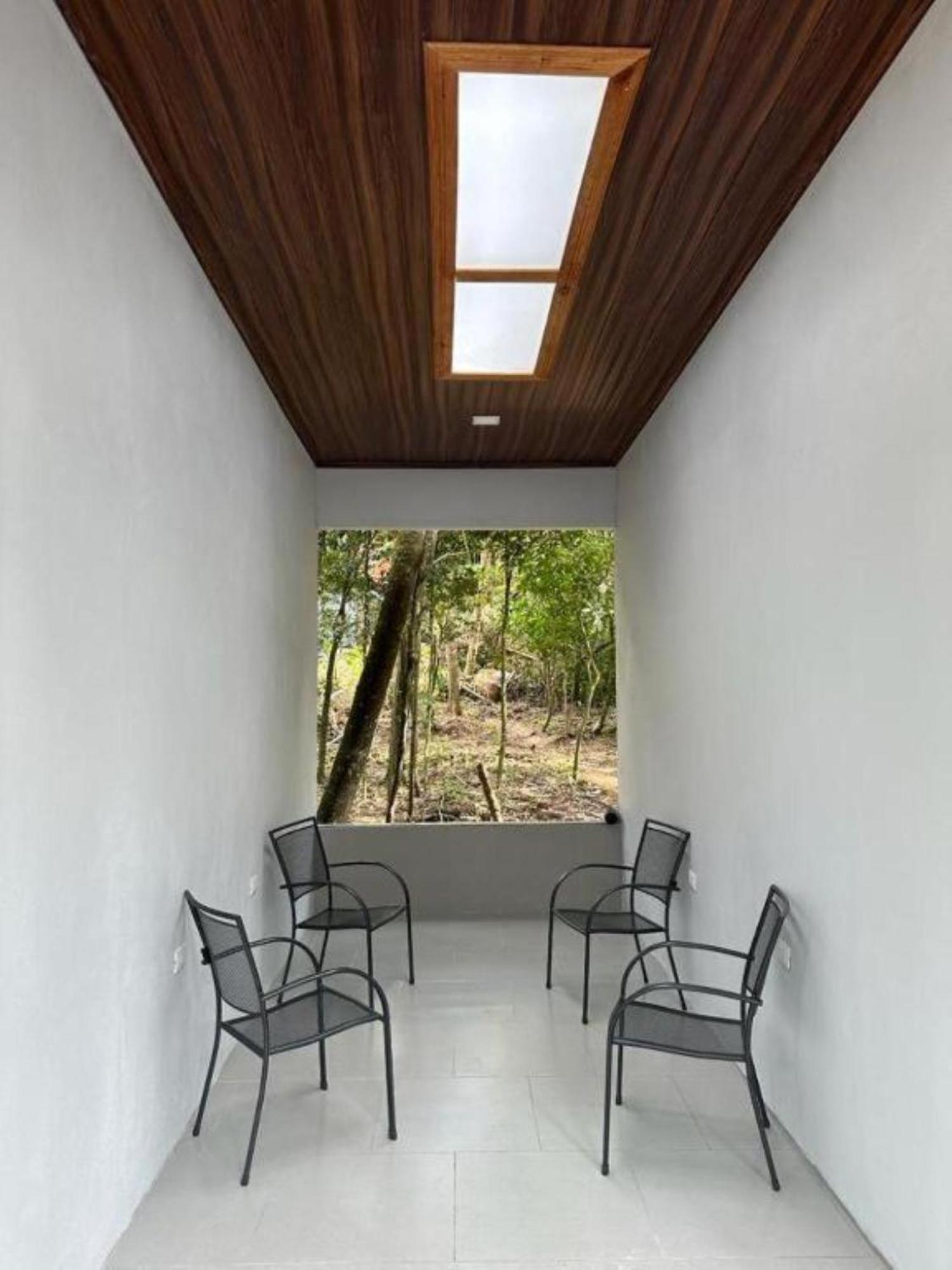 Roca - Cloud Forest *